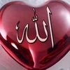 عجائب خلق الله 🧐