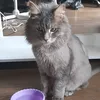 mne2mesatsa