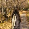 adiya_11.11