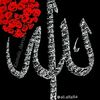 ali.alfaifi4