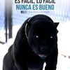 user7775824917464