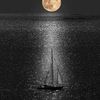 rawanabdelfattah42