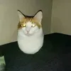rysszardd74