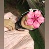 malak.osama154