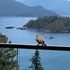liveloooovelaugh