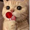 izzy_hi55