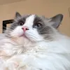 andysocialclub