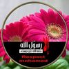 yarammohse