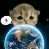 ilstmslfr
