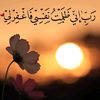 user48169862385676