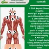 maulana6876