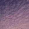 skyjia___