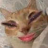 aaaaaaaaaaaaaaaaaaaa___6