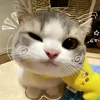 km_qtyj
