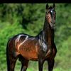 user5351710109010