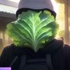fruitsaled_offical