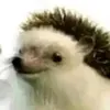 moistinski