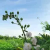 dywqdjnidasi