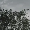 elfjune23