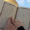 zhalya_0