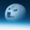 dy4c8j3p4ojw