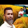 aborayhan017