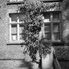onsmarieke