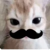 phatcute1289