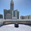 salmaahmed7118