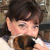 donnacampbell257