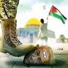ahmed_tolan