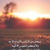 nawwal_66