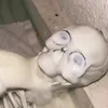 shitpost_guyyy