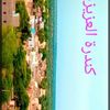 sleh78