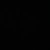 user6901407gsv
