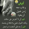 bebomahmoud622
