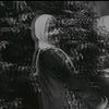 dump_qly