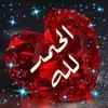 alaaaloua719