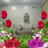 nelugagiu19gmail.com
