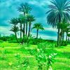 user9608623610230