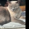 oliver02791
