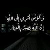 saleem_m523