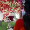 hong_thamcutii