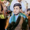 qasimmuhammadqasum555