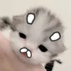meoismi
