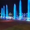 rose_801300