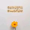 sousouer9068462912858