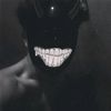 franz.its