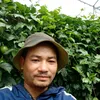tn.inh.vn8