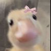 you_aremyonlyone